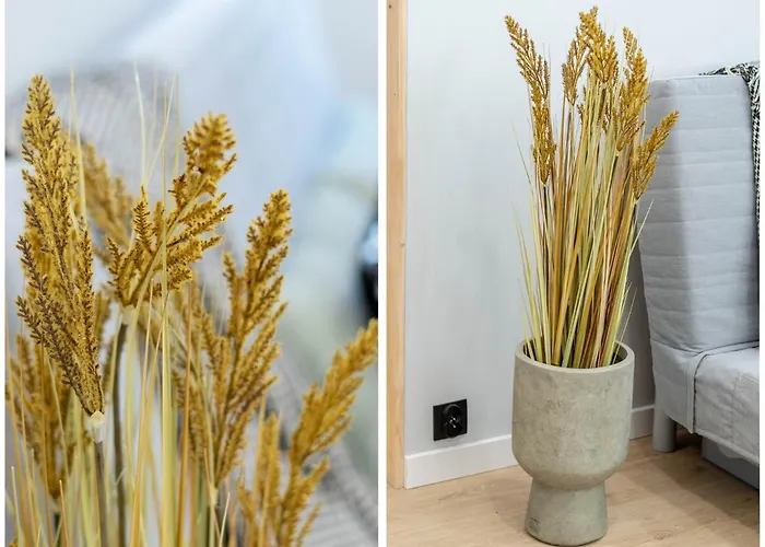 In The Center * Познань