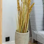 Apartment In The Center Poznan