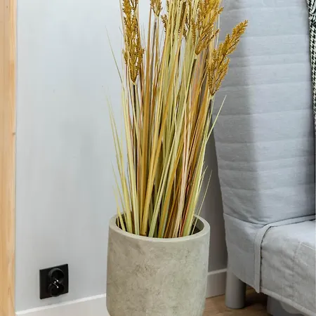 Appartement In The Center Poznań